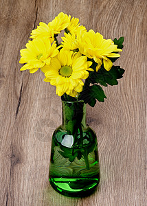 黄菊花植物花朵背景生长菊花自然柠檬色玻璃花瓶绿色图片