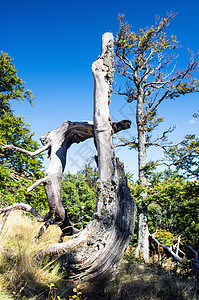 山高地貌喀尔巴阡山 乌克兰晴天房子木头森林日落薄雾土地松树地平线地标图片