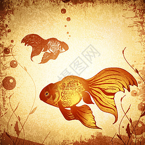 黄金鱼类古鱼背景图片