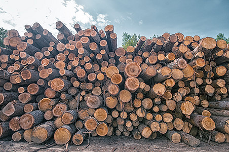 堆积在木材厂的木材制造业记录收成松树资源生态材料日志木头木工人图片