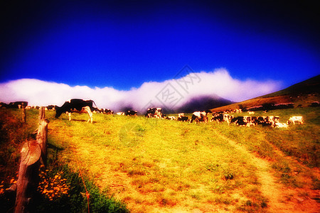 葡萄牙亚速尔群岛的穆迪斯景点农业群岛火山丘陵草地湖泊池塘植物山脉植被图片