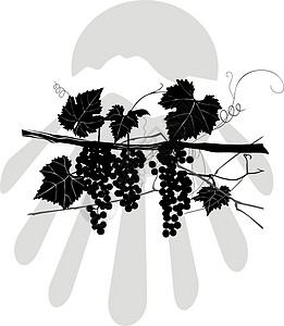 矢量  葡萄元素绘画植物装饰瓶子葡萄园纪念日树叶玻璃水果周年图片