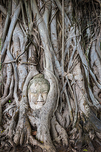 在泰国阿尤塔亚的马哈特Wat Mahath树根上的佛像头旅行地标废墟佛塔宝塔王国雕像旅游寺庙智慧图片