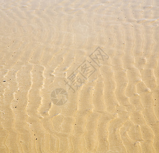 非洲棕色海岸线的在亚特兰附近的湿沙滩孤独沙丘自然假期爬坡热带海岸支撑旅行沙漠图片
