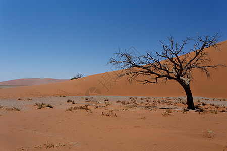 纳米比亚索苏苏夫莱省 Dune 45 Dune 45公园沙丘沙漠蓝色国家冒险天空旅游纳米布旅行图片