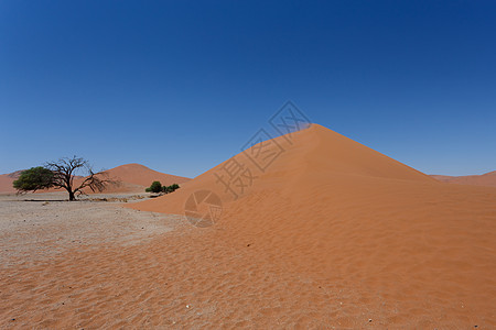 纳米比亚索苏苏夫莱省 Dune 45 Dune 45环境天空荒野风景沙漠旅游孤独冒险蓝色公园图片