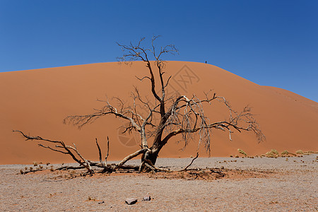 纳米比亚索苏苏夫莱省 Dune 45 Dune 45天空旅游荒野风景国家旅行孤独蓝色沙丘公园图片