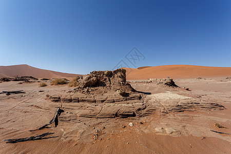 美丽的日出风景 隐藏着的死薇蕾沙丘全景死亡阴影干旱孤独蓝色公园纳米布沙漠图片