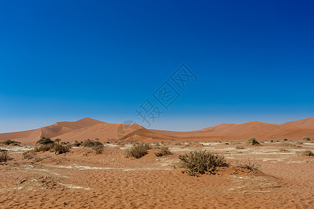 美丽的日出风景 隐藏着的死薇蕾天空全景阴影公园橙子干旱平底锅死亡沙漠旅游图片