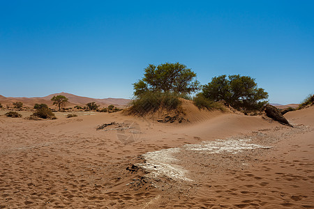 美丽的日出风景 隐藏着的死薇蕾国家沙漠阴影旅行公园旅游晴天橙子蓝色全景图片