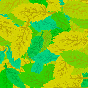 秋余叶背景装饰森林公园季节植物棕色风格绿色木头黄色图片