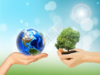 人类手中握着绿树和地球背景图片