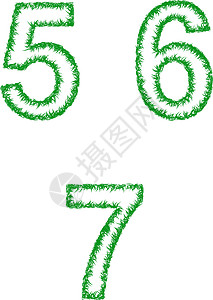 绿草字体-5号 6号 7号图片