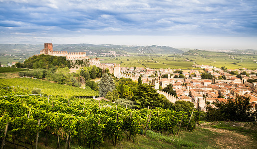 城市图苏瓦夫意大利及其著名的中世纪城堡的景象叶子藤蔓城市爬坡地标葡萄园农场酒庄酒厂收成背景