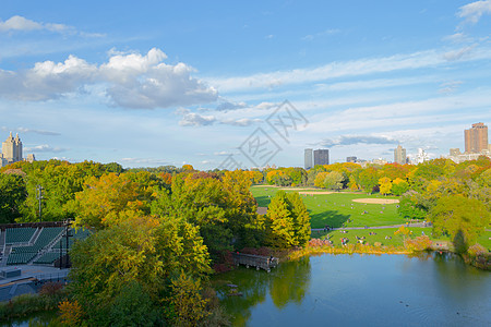 秋季的大草坪公园城堡落叶植物绿叶红色树叶特剧院颜色赭石图片
