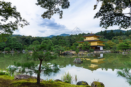 日本京都的九角寺庙文化旅游植物传统水池神社金子城市建筑学地标图片