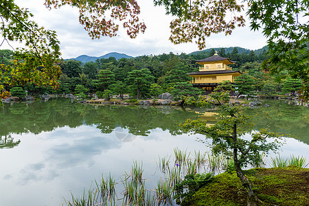 日本的九角寺庙建筑森林城堡花园民众神社吸引力历史世界木头图片
