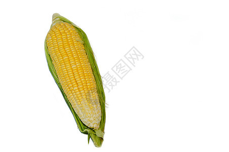玉米耳朵蔬菜内核棒子食物营养绿色粮食白色叶子图片