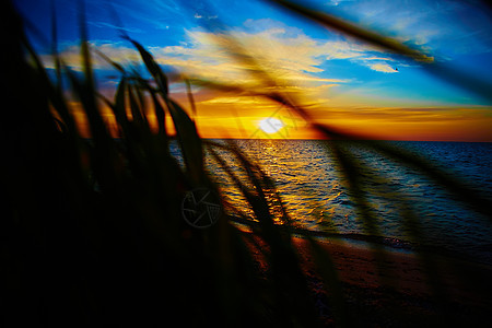 日落在海洋上海浪晴天反射海岸蓝色海岸线太阳海滩天空假期图片