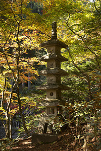 德川幕府的陵墓假期旅游日光旅行游客寺庙神道图片