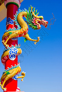 中国风格的龙雕像蓝色寺庙财富艺术宗教传统信仰天空节日装饰品图片