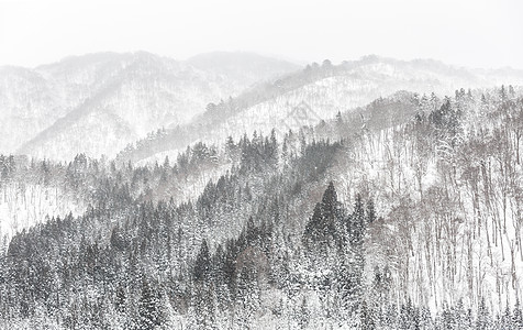 下雪太阳环境旅行降雪阳光季节高山雾凇假期暴风雪图片