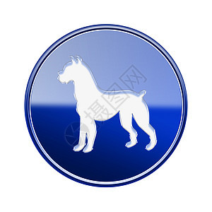 狗Zodiac图标蓝色 在白色背景上隔离按钮书法插图圆形星星十二生肖日历反射算命星座图片