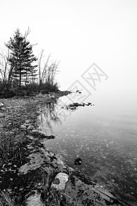 渥太华河沿岸布满浓雾 黑白烟雾图片