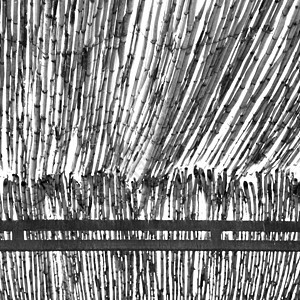 非洲天空的竹屋 摩莫罗科抽象竹屋顶盒子国家墙纸太阳装饰乡村文化甘蔗植物材料背景图片