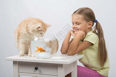 女孩看起来像一只猫 想抓金鱼的猫图片