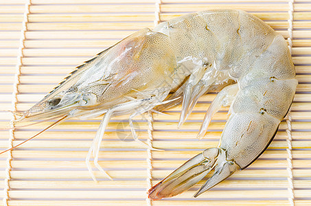 新鲜虾虾烹饪美食甲壳海鲜寿司餐厅盘子市场白色海洋图片