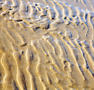 非洲棕色海岸线的在亚特兰附近的湿沙滩晴天沙丘沙漠海洋自然自由墙纸海岸假期爬坡图片