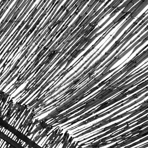 非洲天空的竹屋 摩莫罗科抽象竹屋顶木头太阳装饰墙纸风格盒子植物建筑文化国家背景图片