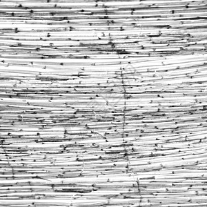 非洲天空的竹屋 摩莫罗科抽象竹屋顶乡村太阳国家材料风格装饰植物文化木头盒子背景图片