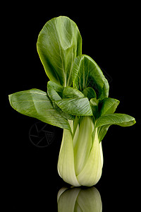 黑黑色的帕克肖伊蔬菜烹饪芥菜美食厨房沙拉叶子饮食植物营养图片