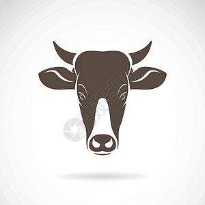 白色背景牛头的矢量图像哺乳动物国家动物插图牛奶农业小牛农民农场艺术图片