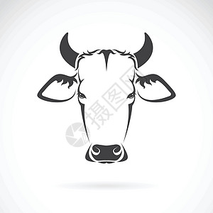 白色背景牛头的矢量图像国家插图夹子草图卡通片牛扒哺乳动物动物牛肉食物图片
