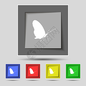 原五个彩色按钮上的蝴蝶图标符号野生动物季节君主电脑风格艺术插图装饰卡通片翅膀图片