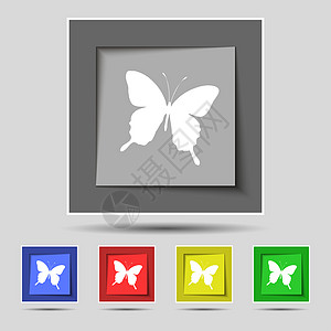 原五个彩色按钮上的蝴蝶图标符号翅膀团体电脑装饰艺术动物夹子曲线热带绘画图片