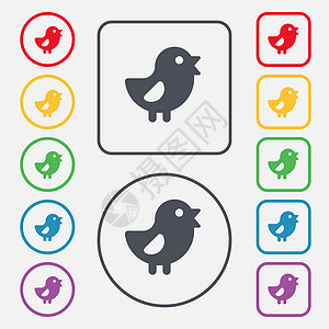 鸡 鸟图标符号 圆形上的符号和带边框的平方按钮图片