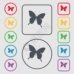 蝴蝶图标符号 圆形上的符号和带框架的平方按钮卡通片曲线电脑风格插图翅膀叶子热带艺术野生动物图片