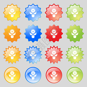 花朵在锅图标符号中 有一大套16种多彩的现代按钮用于设计质量创造力徽章花瓣角落插图标签花店宏观海豹图片