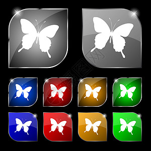 蝴蝶图标符号 一组十色的扣子 带有光束昆虫翅膀飞行艺术电脑季节君主风格夹子插图图片