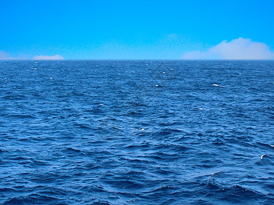 天空和海洋阳光日出太阳海浪日落蓝色地平线海滩反射图片