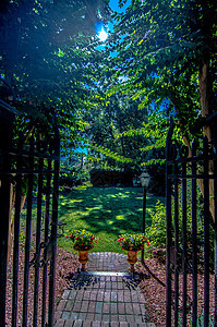 古典设计黑色的铁门 在美丽的绿色长袍中后院财产栅栏网关障碍小路入口风景公园锁定图片