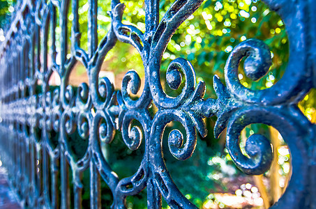 古典设计黑色的铁门 在美丽的绿色长袍中场景公园植物财产花园古董入口金属风景后院图片