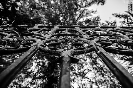 古典设计黑色的铁门 在美丽的绿色长袍中锁定入口网关风景花园古董安全通道财产小路图片