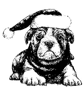 戴帽子的斗牛犬插图草图哺乳动物涂鸦手绘黑与白小狗红帽朋友动物图片