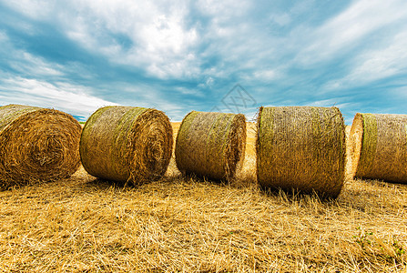 Hay Bales 农业风化图片