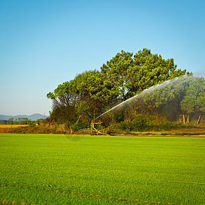 供水农场管道灌溉森林薄雾工程洒水器农田土地蓝色图片